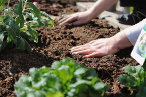 Beratung von Gebrüder Baier Garten und Landschaftsbau