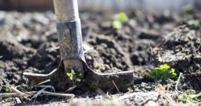 Jobs bei Gebrüder Baier Garten und Landschaftsbau